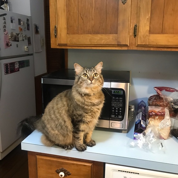 Gloria Menhart - Poshmark Profile Picture of Gloria Menhart (@gloriamenhart) on Poshmark