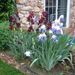 Profile Picture of Lois Acker (@dixiechick6) on Pinterest