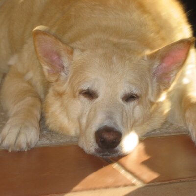 Profile Picture of David J. Burnside (@Sherwood9204) on Twitter