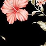 Julia Tejeda - Instagram Profile Picture of Julia Tejeda (@mechustejedagonzalez) on Instagram