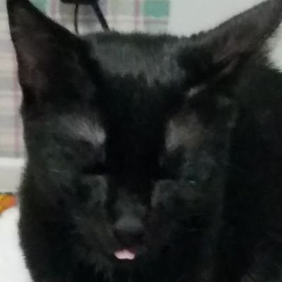 Profile Picture of Matthew Lanouette (@mattlanouette) on Twitter