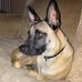 Profile Picture of Wayne Benson (@wayne.benson.3762) on Facebook