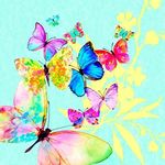 Profile Picture of Denise Brazão (@diniaulasaprendizagemesingular) on Instagram