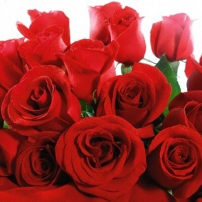 Profile Picture of Alma Arellano (@almaarellano8) on Twitter