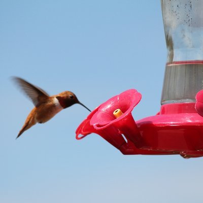 Profile Picture of Dick Johnson (@DickJoh47268372) on Twitter