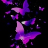 Profile Picture of Eleni getachew (@user6488438188934) on Tiktok