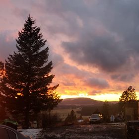 Profile Picture of Mountain Top Homestead (@aimeec85) on Pinterest