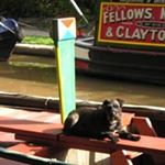 Profile Picture of Chris Shenton (@christopher.shenton) on Instagram