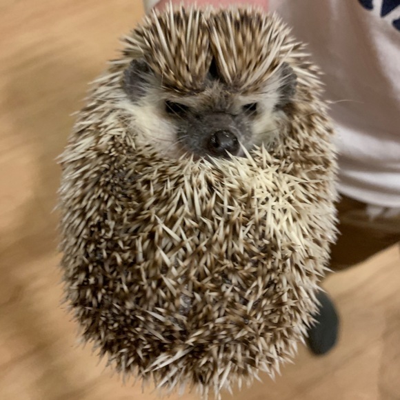 Profile Picture of Jeff Bullock (@jb35243) on Poshmark