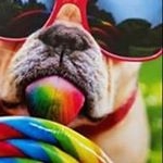 Profile Picture of Tracy Stewart Addison (@tsaddison) on Instagram