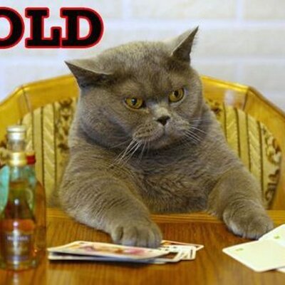 Profile Picture of Zachary Maynard (@war18z) on Twitter