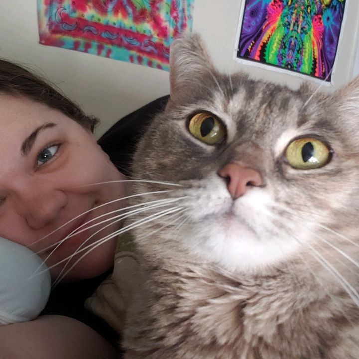 Profile Picture of Sheri Clancy (@shericlancy) on Tiktok