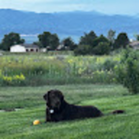 Profile Picture of Will Bradley (@willbradley270) on Poshmark