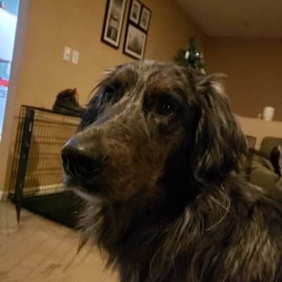 Profile Picture of Dan Freund (@DanBrutus1271) on Twitter