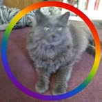 Cathy Mazzeo - Facebook Profile Picture of Cathy Mazzeo (@cathy.mazzeo.56) on Facebook