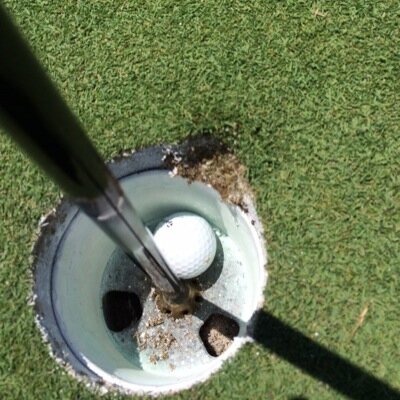 Profile Picture of Mike Salmon (@MtneerMike) on Twitter