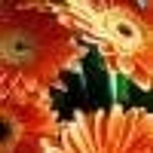 Profile Picture of Maria Ibarluzea (@232971865) on Myspace