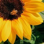 Profile Picture of Courtney Crain (@quote_hotline456) on Instagram