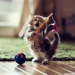 Profile Picture of Kennith Granillo (@kennith.granillo.9) on Facebook