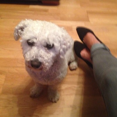 Sabrina O' Connell - Twitter Profile Picture of Sabrina O' Connell (@sockywocky78) on Twitter