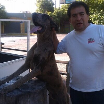 Profile Picture of Mario Farias (@Mariofarias69) on Twitter