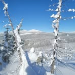 Profile Picture of Andrew Cerini (@andrew.cerini.3) on Facebook