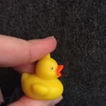 Susan The Duck - Instagram