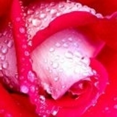 Profile Picture of Terence Obrien (@TerenceObrien10) on Twitter