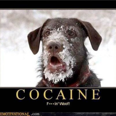 Profile Picture of Mark Caine (@Caineyface) on Twitter