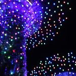 Profile Picture of Mari Yoshimura (@y.milpy) on Instagram