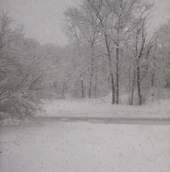 Profile Picture of Kim Gillen-robles (@kimr65) on Poshmark