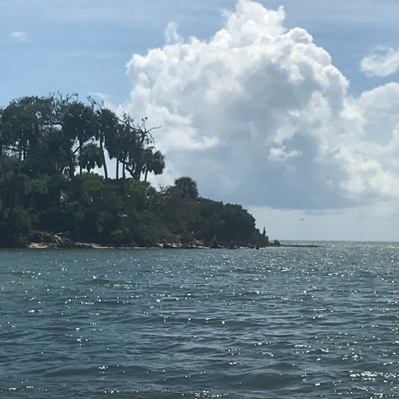 Profile Picture of Tamara Jean (@tamarajean0225) on Poshmark