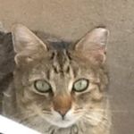 Profile Picture of Gina Travis Gordineer (@gina_travis_gordineer) on Instagram
