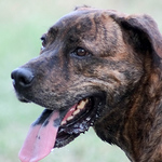 Profile Picture of Steve Wood (@stevewood17) on Flickr