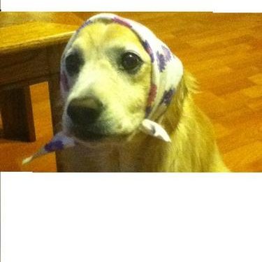 Profile Picture of Raymond Augustin (@Rainman524) on Twitter