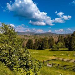 Profile Picture of Marko Roloff (@marko.roloff) on Tiktok