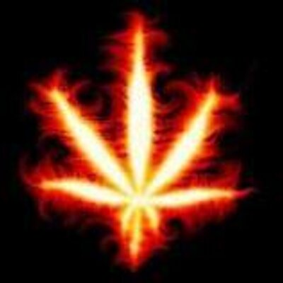 Profile Picture of András Lipták (@andrew8426) on Twitter