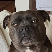 Profile Picture of Damien Spencer (@damienspencer8361) on Youtube