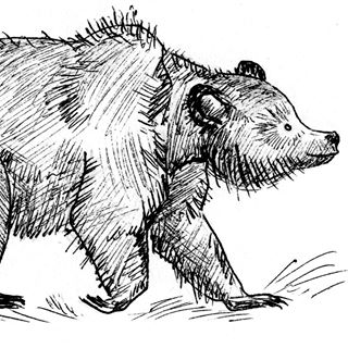 Profile Picture of Alexander Bgatov (@alexander.bgatov) on Facebook