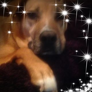 Profile Picture of Bonnie Driver (@bonnie.driver.169) on Facebook