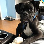 Steve Osmond - Instagram Profile Picture of Steve Osmond (@sosmond) on Instagram