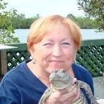 Profile Picture of Judi Prochaska (@Judi-Prochaska) on Facebook