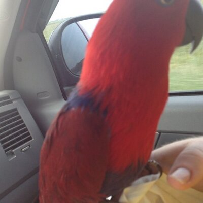 Profile Picture of Jared Severson (@jjdseverson) on Twitter