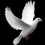 Profile Picture of Michael Picerno (@mapicerno) on Youtube