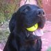 Profile Picture of Scott Barham (@barham1270) on Pinterest