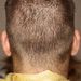 Profile Picture of John Topor (@jonny3topora) on Pinterest