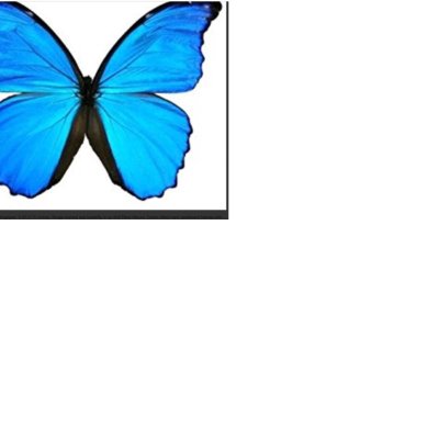 Profile Picture of Hayden Hayes (@Elizabeths_Hope) on Twitter