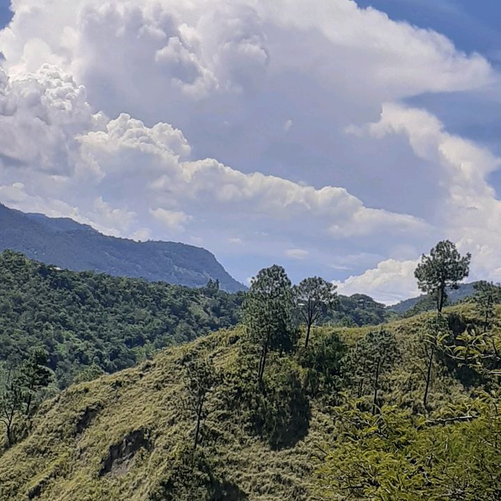 Profile Picture of Wilder Martin (@wilder.martin) on Tiktok