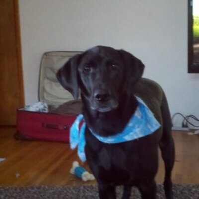 Michael Hottman - Twitter Profile Picture of Michael Hottman (@hottmanjr) on Twitter