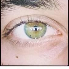 Profile Picture of Daniel Lucia (@Primikii10) on Twitter